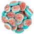 Gummy Brains Schepsnoep 100 gram Gummy Brains Schepsnoep 100 gram
